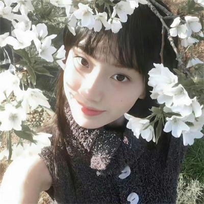 庙街故事