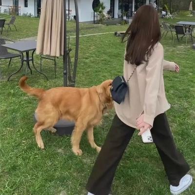 美国最后的处女